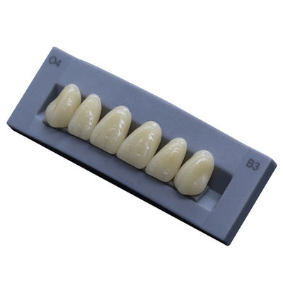 High Durability Artificial Acrylic Teeth VITA High Stain Impact Resistance Heraeus Form