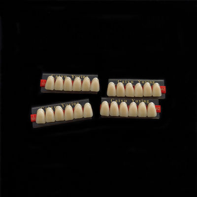 Stain Resistance Dental Artificial Teeth Acrylic Resin Incisor 2x1 Manufacturer CE ISO Composite Dentadura